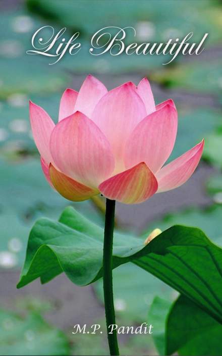 Life-Beautiful-by-Pandit—cover-web